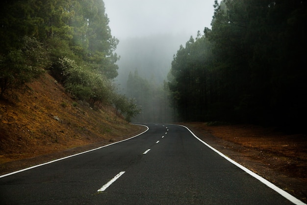 Schöne Naturlandschaft in Teneriffa, Spanien. Erstaunliche wilde Natur in Europa.