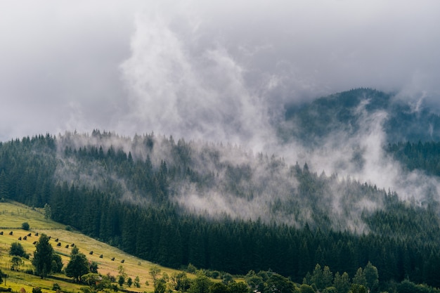 Schöne Naturlandschaft mit regnerischen Wolken über Bergen