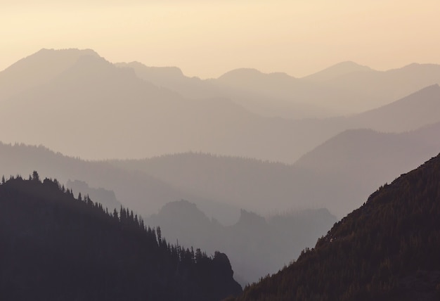 Schöne Naturlandschaft - neblige Bergsilhouette