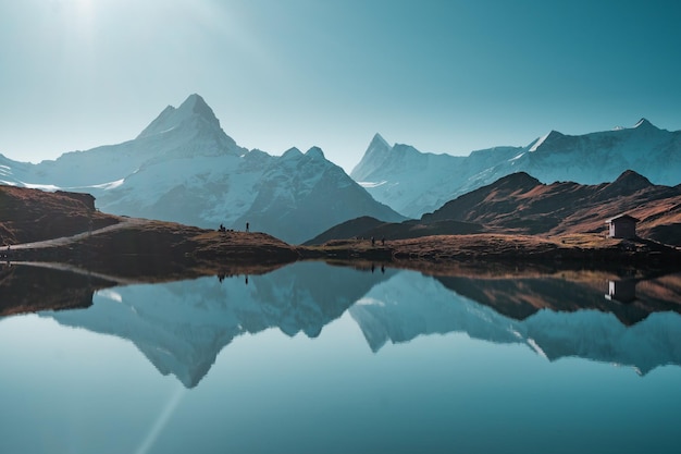 Schöne Naturtapete für Sie