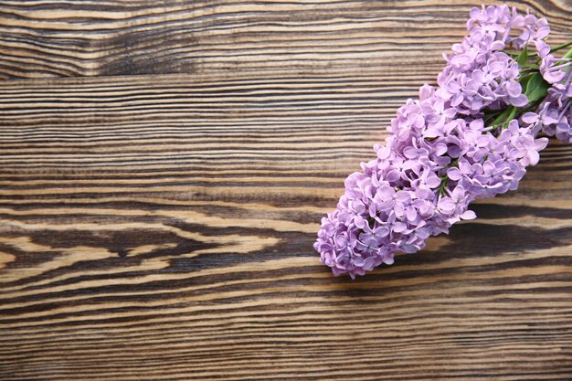 Schöne Niederlassung von lila Blumen auf hölzernem Hintergrund