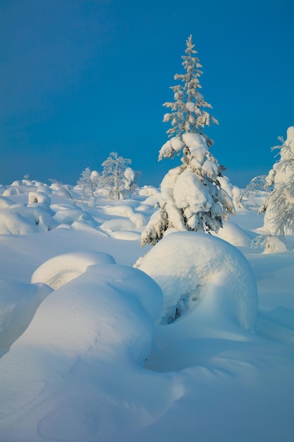 Schöne nördliche Natur Winterlandschaft viel Schnee