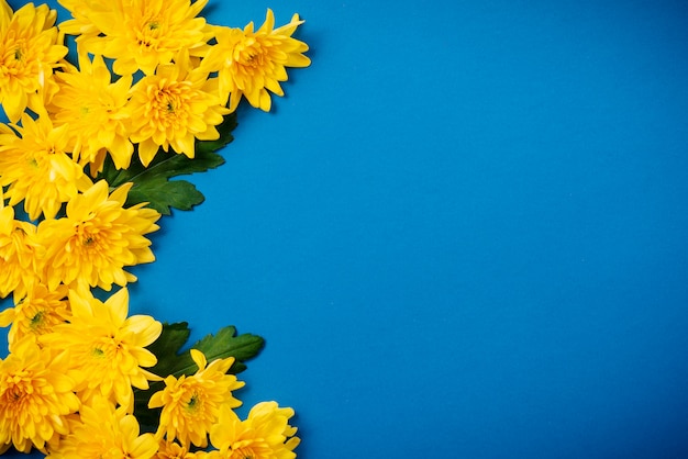 Schöne orange Chrysanthemen liegen auf einem blauen Tisch.