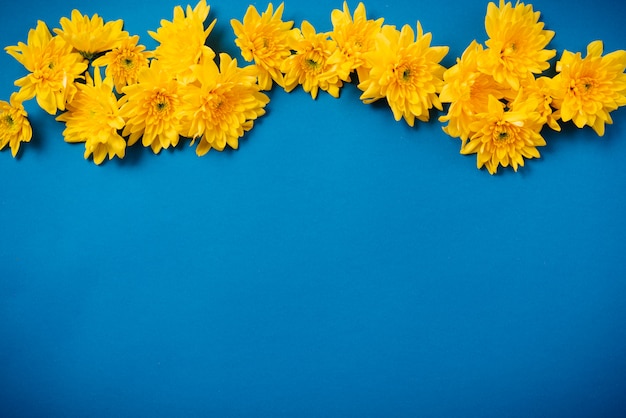 Schöne orange Chrysanthemen liegen auf einem blauen Tisch.