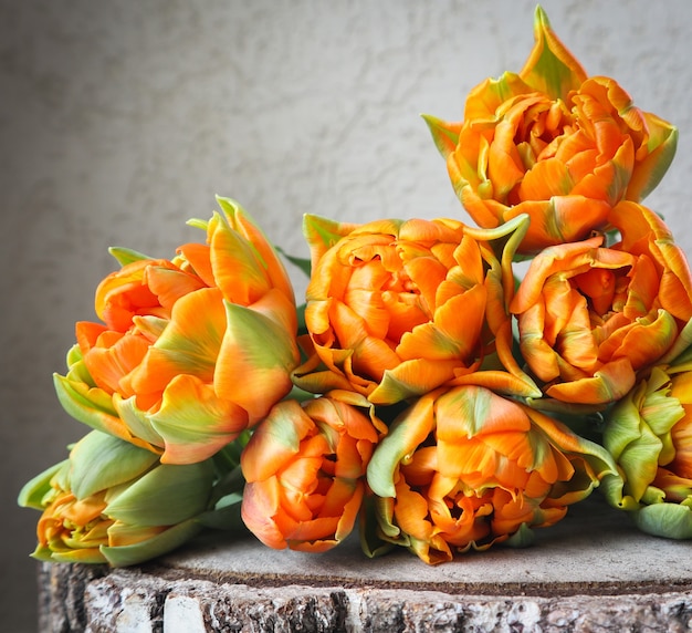 Schöne orange Tulpen auf Holzhintergrund perfekt für Hintergrundgrußkarten