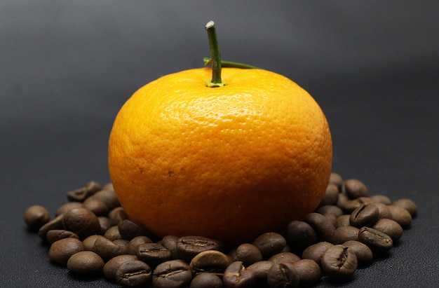 schöne Orangen, Kaffeebohnen, Fotoshooting