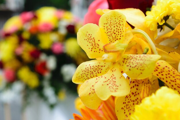 Schöne Orchideenblume in einem Blumenstrauß, natürlich schöne Blumen im Garten