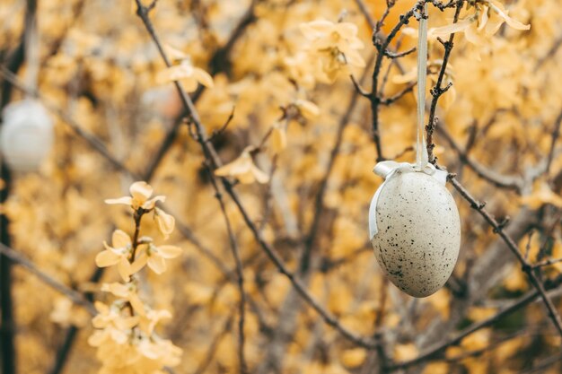 Schöne Ostereier auf einem blühenden Baum