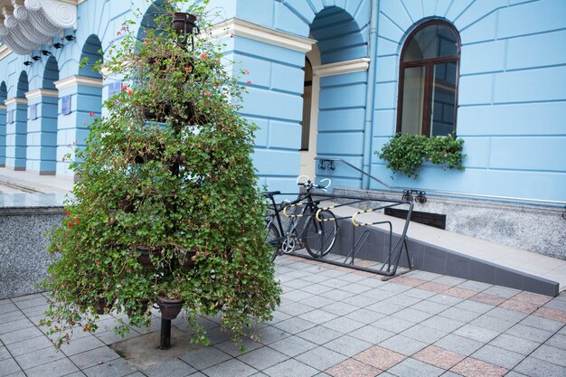 schöne ostreet in der altstadt chernivtsi in ukrana