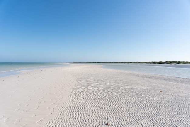 Foto schöne paradiesische landschaft aus sand und meer von holbox