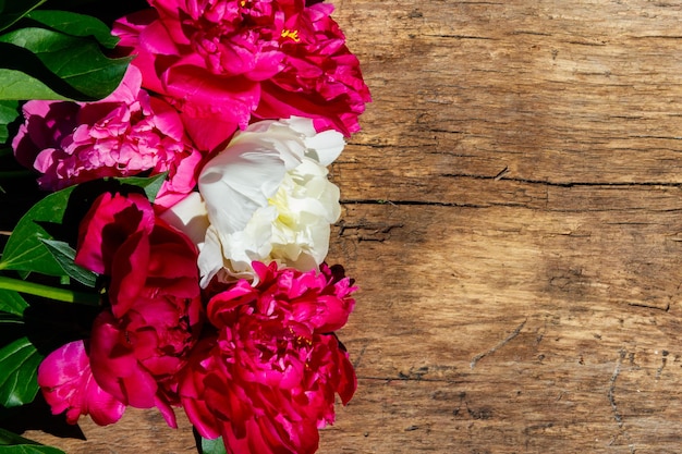 Schöne Pfingstrosenblumen auf rustikalem hölzernem Hintergrund. Ansicht von oben, kopieren