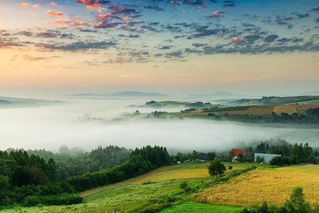 Schöne polnische Landschaft mit sanften Hügeln und Wiesen unter Nebel bei Sonnenaufgang