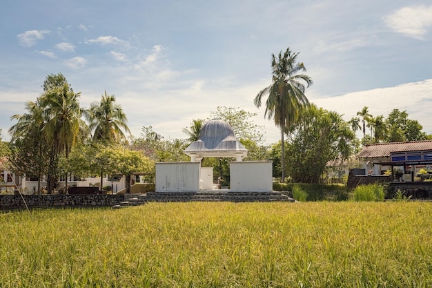 Schöne Reisfeldlandschaft bei Laman Padi Langkawi Muzium Laman Padi in Langkawi Malaysia