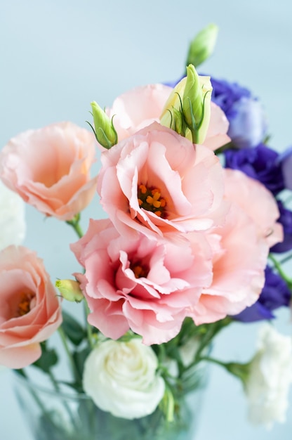 Schöne rosa Eustoma-Blume (Lisianthus) in voller Blüte mit grünen Blättern