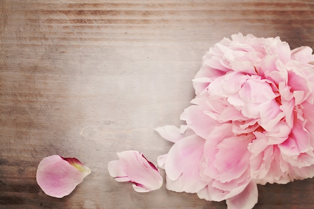 Schöne rosa Pfingstrosen-Blume auf Vintage-Holz-Hintergrund
