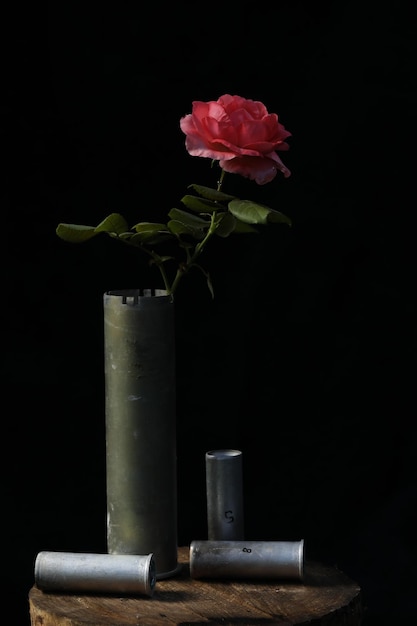 Schöne rosa Rose in einer Granate als Vase auf dunklem Hintergrund