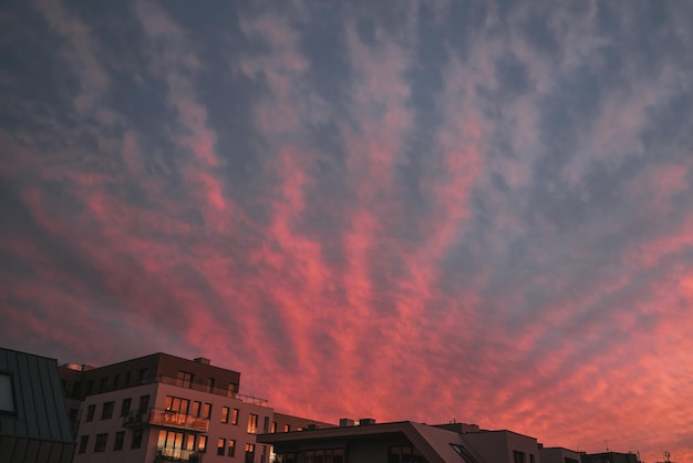 Schöne rosa und blaue ungewöhnliche Federwolken gegen den Himmel bei Sonnenaufgang und Sonnenuntergang Malerische fantastische Wolken Landschaftshintergrund Sloudy Storm Wettervorhersage Klimawandel globale Erwärmung