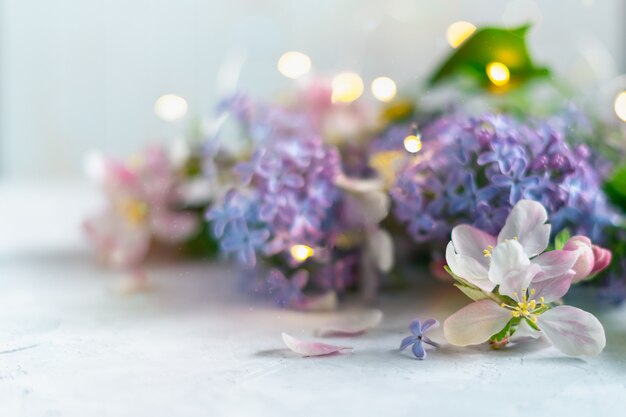 Schöne rosa und lila Blumen auf unscharfem hellem Hintergrund mit Lichtern. Frühlingsblumenhintergrund mit Platz für Text.