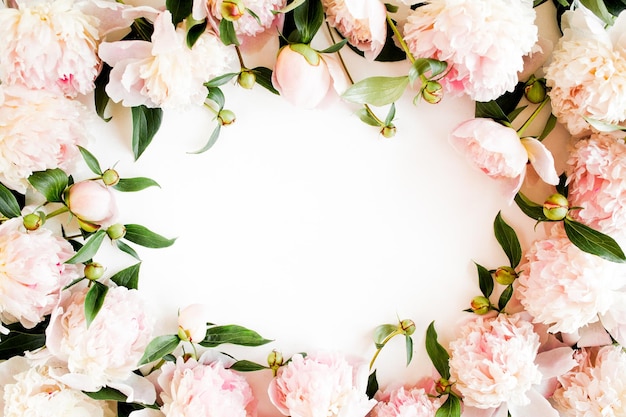 Schöne rosafarbene Pfingstrosenblumen mit Kopierplatz für Ihren Text Draufsicht im flachen Stil