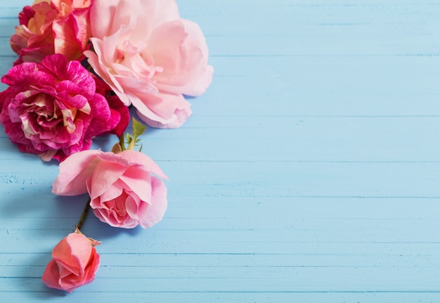 Schöne Rosen auf blauem hölzernem Hintergrund