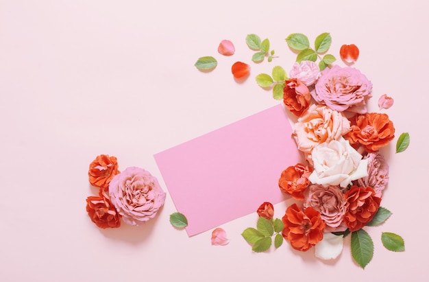 Schöne Rosen auf rosa Papierhintergrund