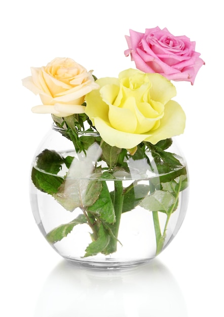 Schöne Rosen in Glasvase isoliert auf weiß