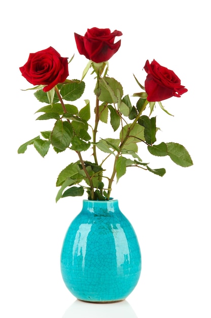 Schöne Rosen in Vase, isoliert auf weiß