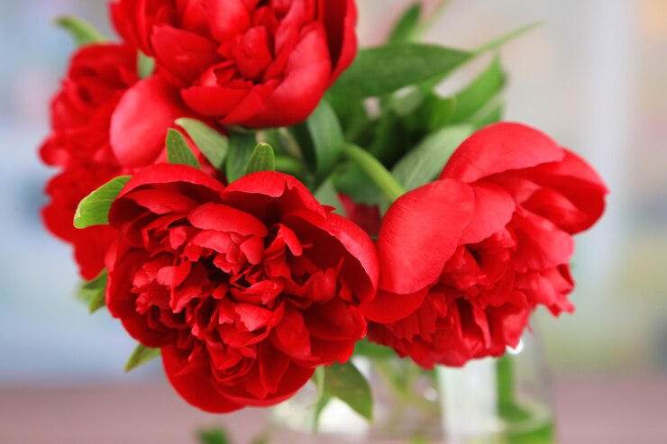 Foto schöne rote pfingstrosen in der vase