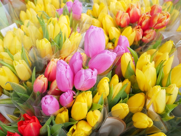 Schöne rote, rosa und gelbe Tulpenblumensträuße für Valentinstag