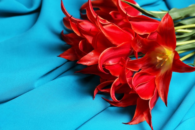 Schöne rote Tulpen auf blauem Satinhintergrund