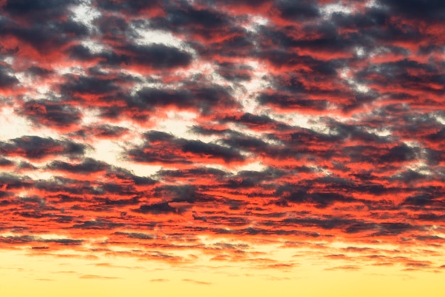 Schöne rote Wolken, die bei Sonnenuntergang von den Sonnenstrahlen beleuchtet werden, schweben über den gelb-goldenen Himmel.