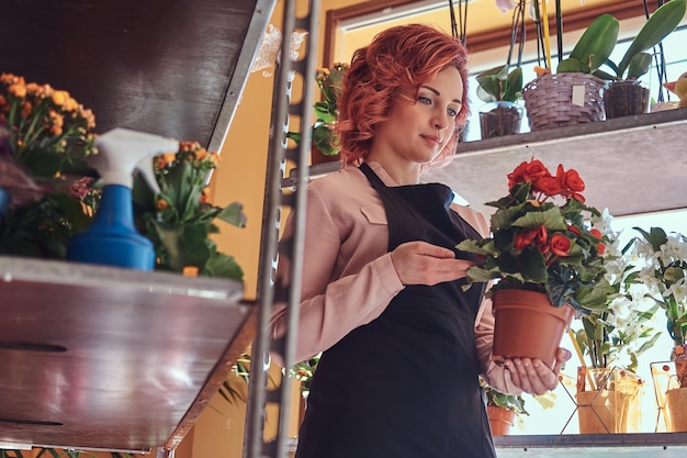 Schöne rothaarige Floristin in Uniform, die in einem Blumenladen arbeitet.