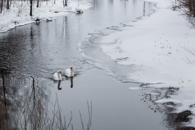 Schöne ruhige Winterlandschaft