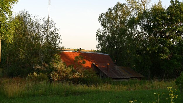 Schöne rustikale Sommerlandschaft alte Holzblockhäuser Region Wologda