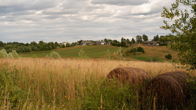 Schöne rustikale Sommerlandschaft mit alten Holzhäusern und Heu auf dem Feld