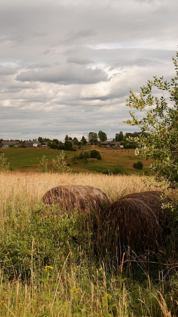 Schöne rustikale Sommerlandschaft mit alten Holzhäusern und Heu auf dem Feld