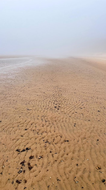 schöne sandküste im nebel