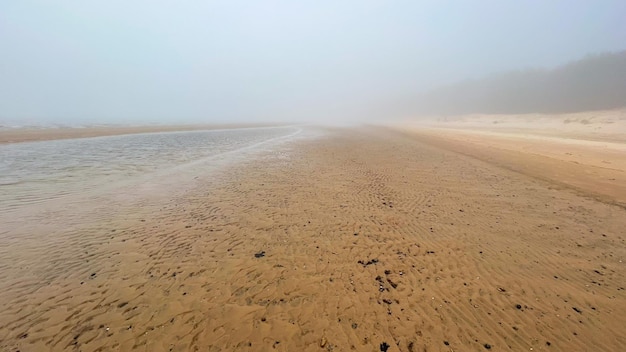 schöne sandküste im nebel