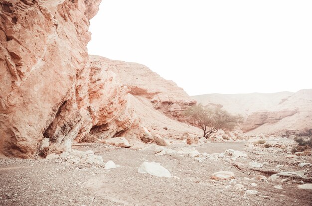 Schöne Sandsteinfelsen des Roten Canyons in den Bergen von Süd-Eilat, Israel.