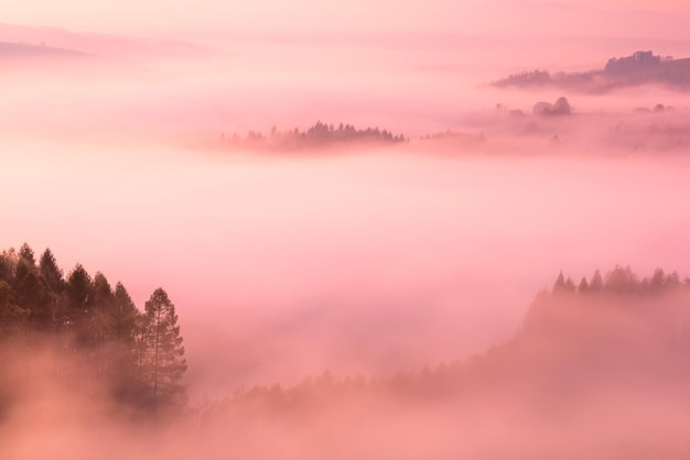 Schöne sanfte Hügel im Nebel bei rosafarbenem Pastell-Sonnenaufgang im Herbst