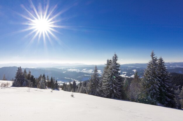 Schöne schneebedeckte Piste mit schneebedeckten Tannen stehen an einem sonnigen Wintertag gegen den blauen Himmel Das Konzept der unberührten schönen Natur im nördlichen Land