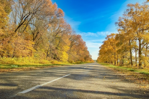 Schöne schöne Herbststraße für die Reise