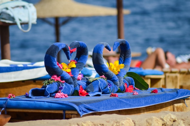 Schöne Schwäne aus Handtüchern am Strand in Ägypten