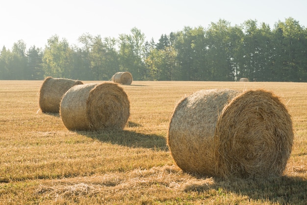 Schöne Sommer-Bauernhof-Landschaft mit Heuschober. Landwirtschaftskonzept.