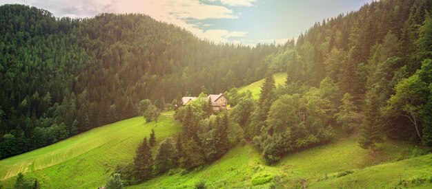 Schöne Sommeransicht der erstaunlichen slowenischen Natur. Panoramastraße Logarska Dolina und Solcava.