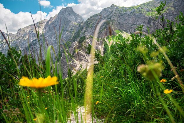 Schöne Sommeransicht der erstaunlichen slowenischen Natur. Panoramastraße Logarska Dolina und Solcava.