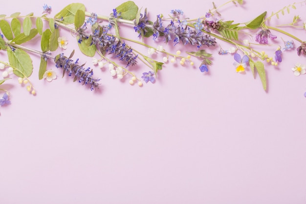 Schöne Sommerblumen auf rosa Hintergrund