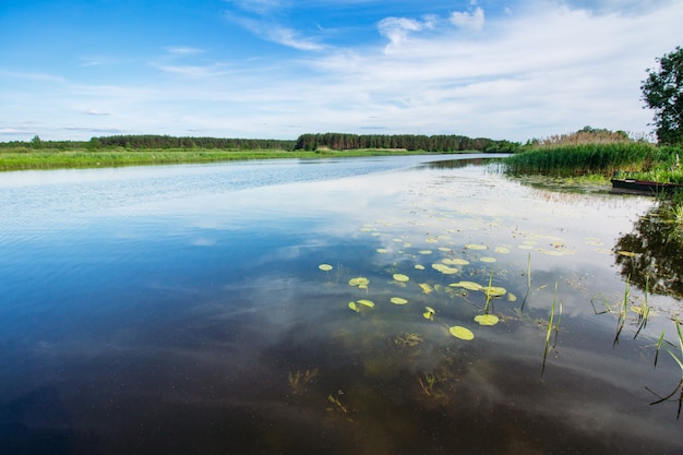 Schöne Sommerflusslandschaft