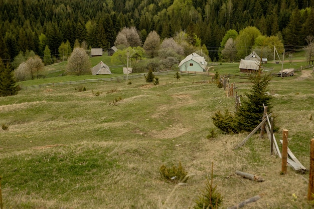 Schöne Sommerlandschaft, Dorf nahe Karpaten, Ukraine, Europa.