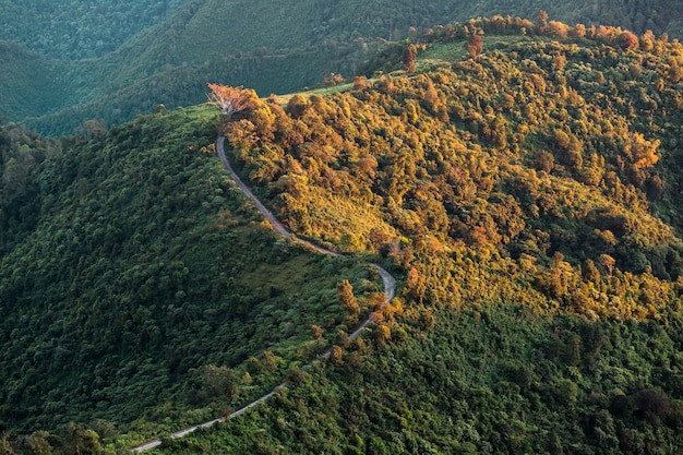 Schöne Sommerlandschaft in den Bergen mit dem Sonnenuntergang